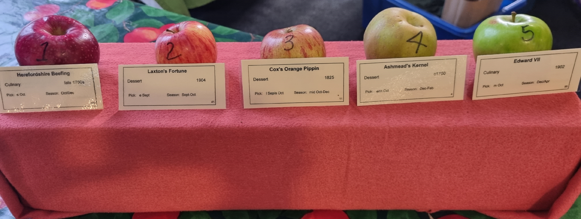 Apple varieties