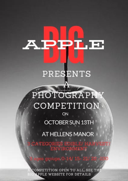 Big Apple Photography Competition